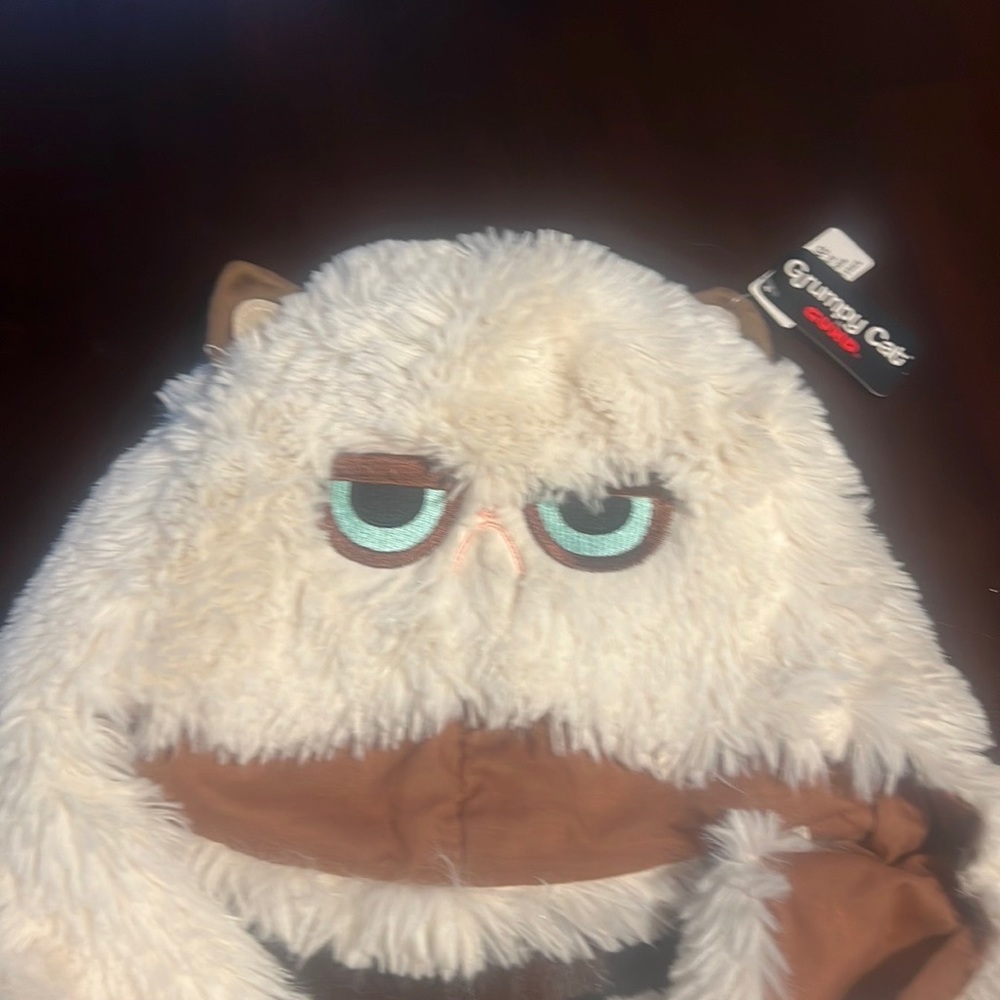 Super cute grumpy cat hat/scarf/mittens all in one! Brand new.